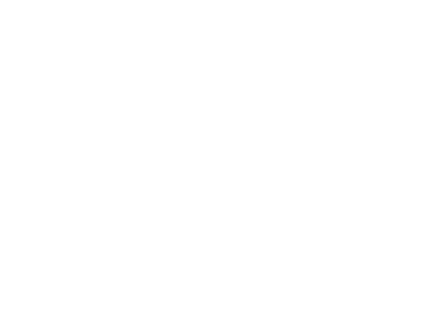 AMD RYZEN Logo