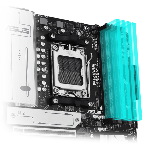 The PRIME B650EM-A motherboard supports DDR5. 