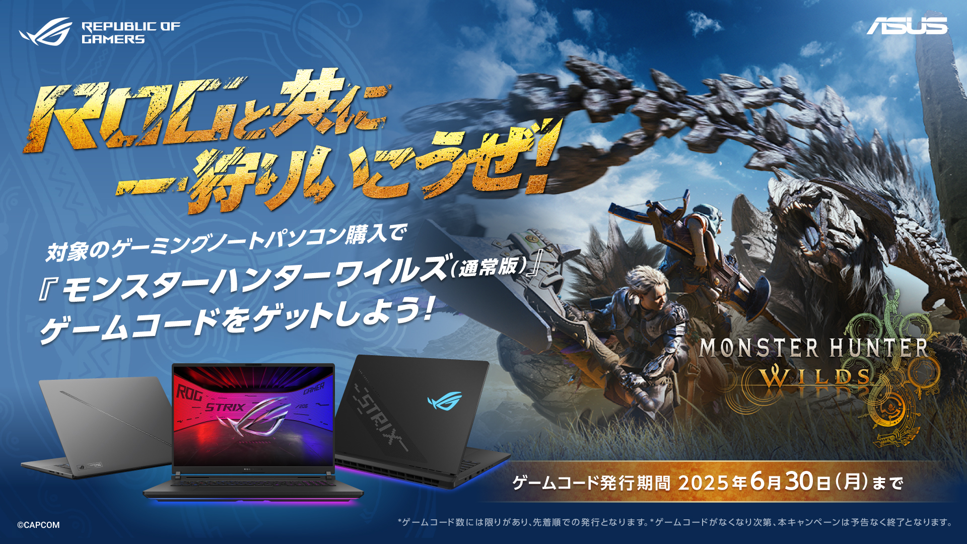 CAMPAIGN