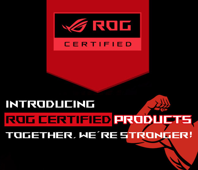 ROG - Republic of Gamers, Global