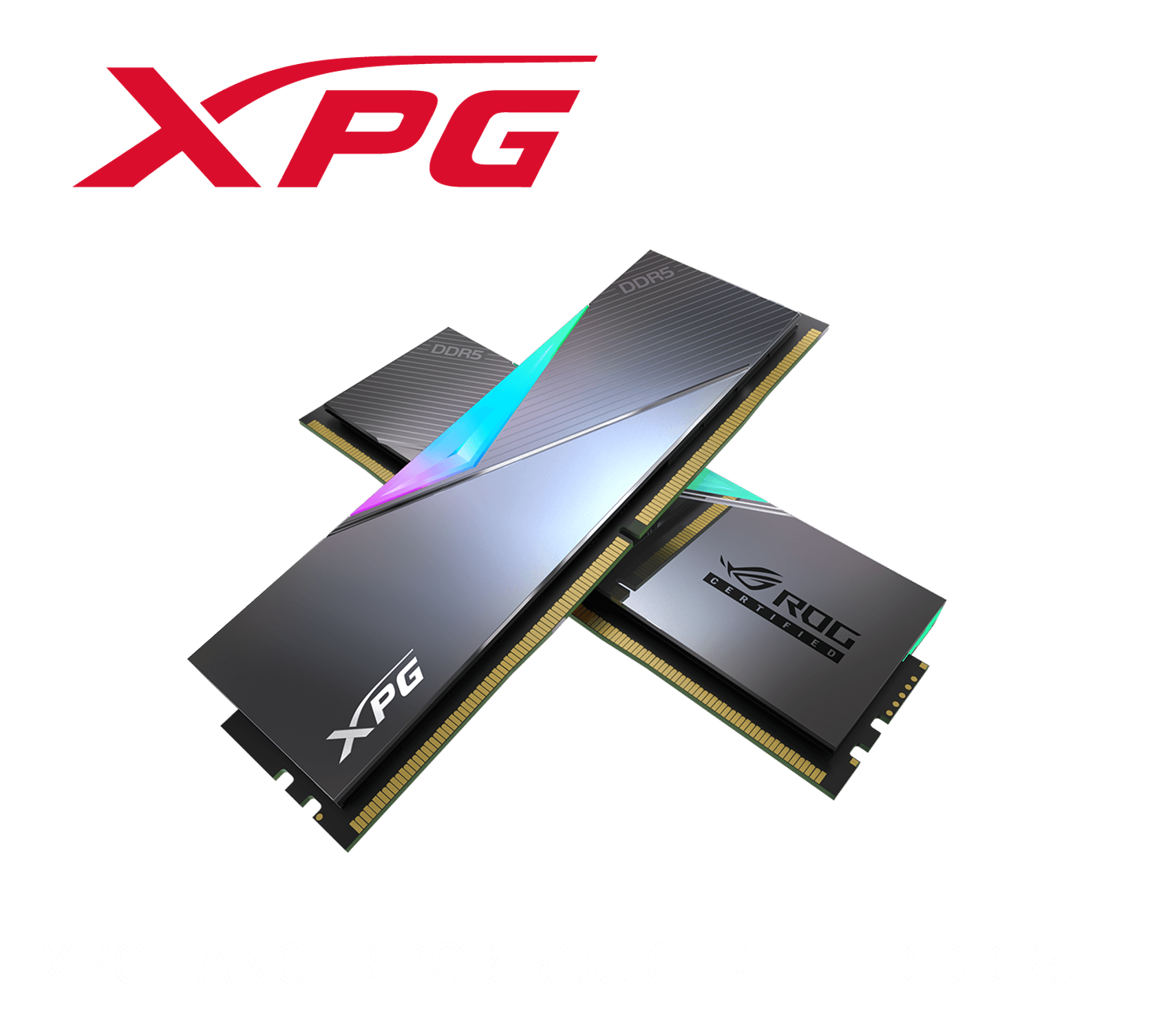 XPG LANCER RGB ROG CERTIFIED DDR5