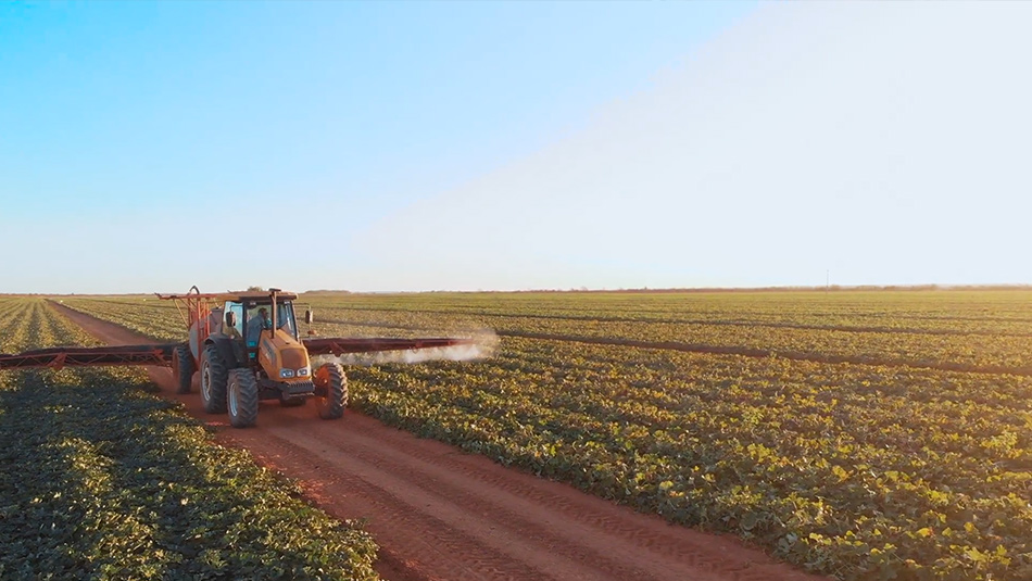 A camera on the road detecting car