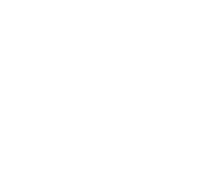 PCIe 4.0 icon