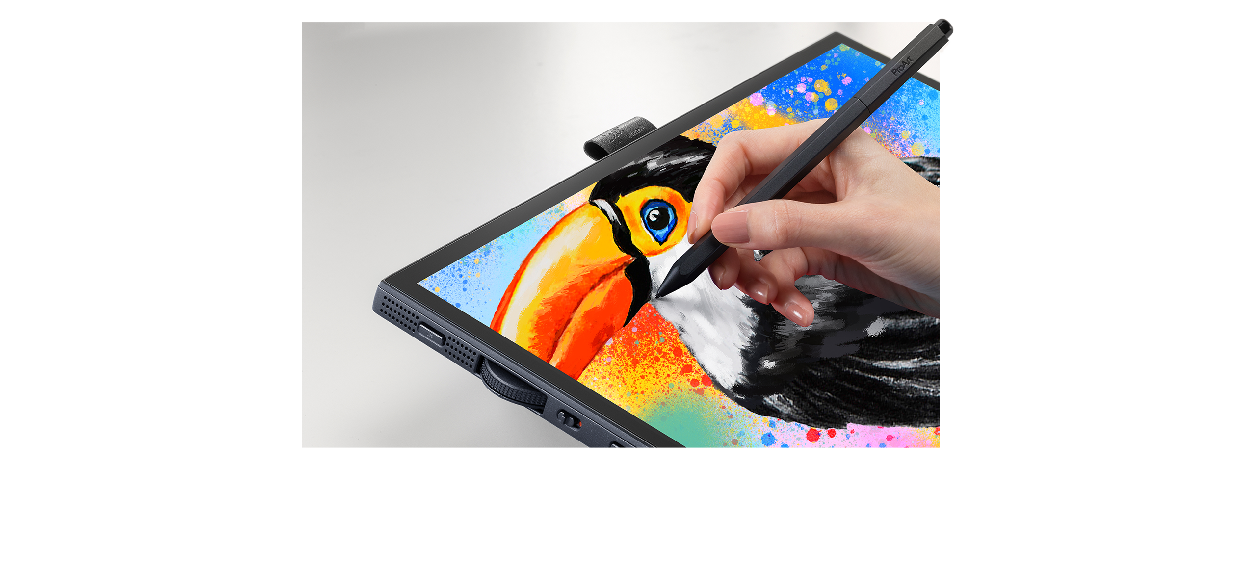 A creator using ProArt Pen to draw a bird on ProArt Display PA169CDV and ASUS StudioBook.