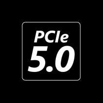 PCIe. 5,0
