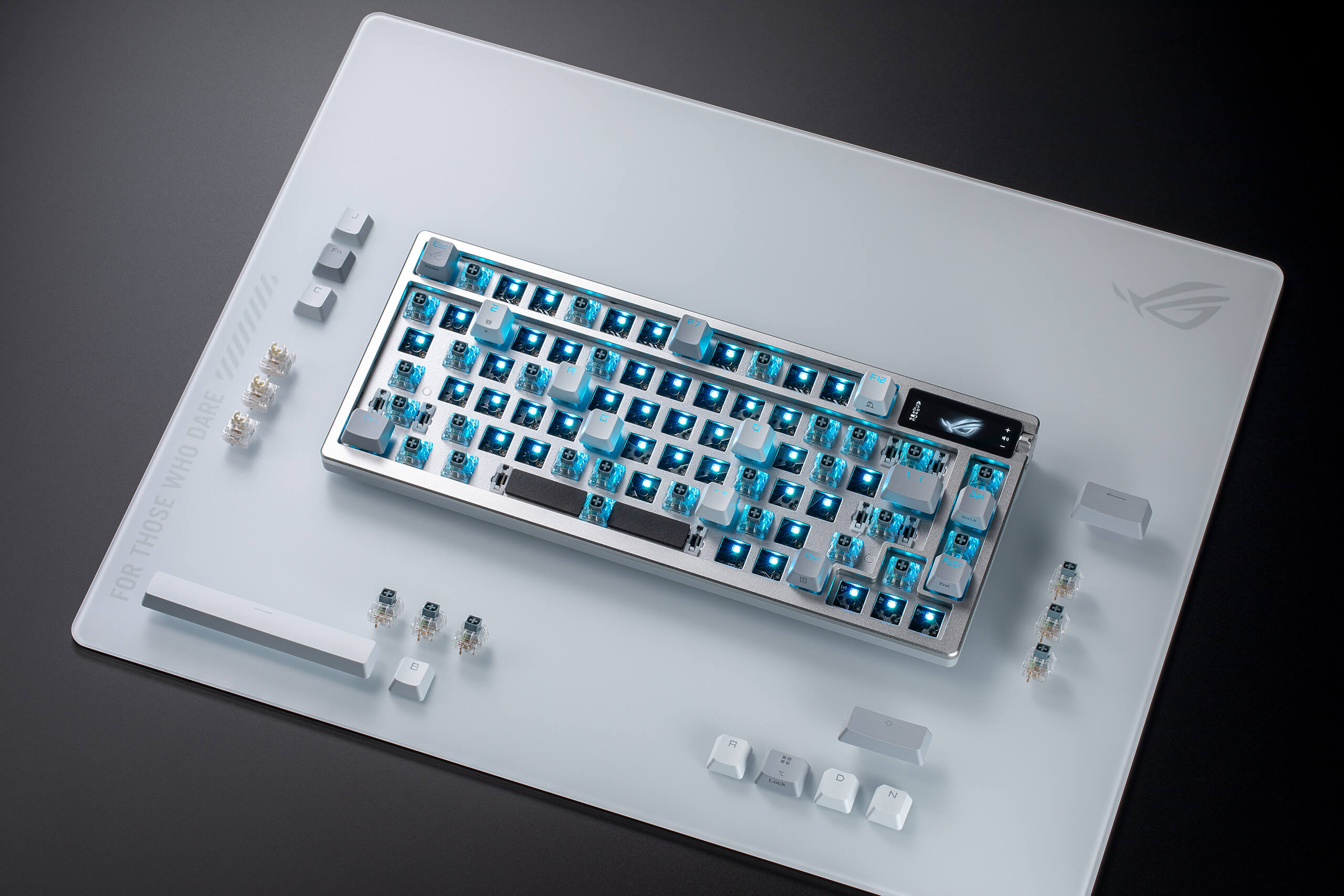 ROG Azoth Moonlight White with most key switches removed, alongside switches and keycaps placed at the side. ROG Moonstone Ace L is positioned beneath the keyboard.