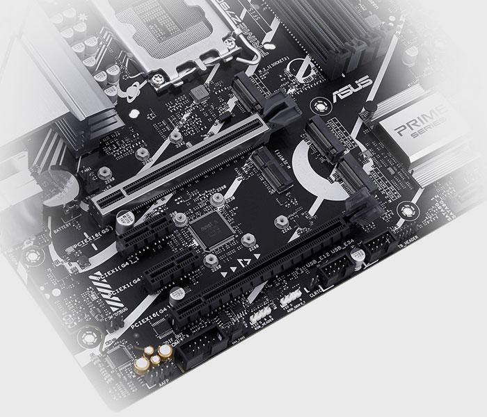 The PRIME Z790M-PLUS D4 motherboard supports PCIe 5.0 slot.