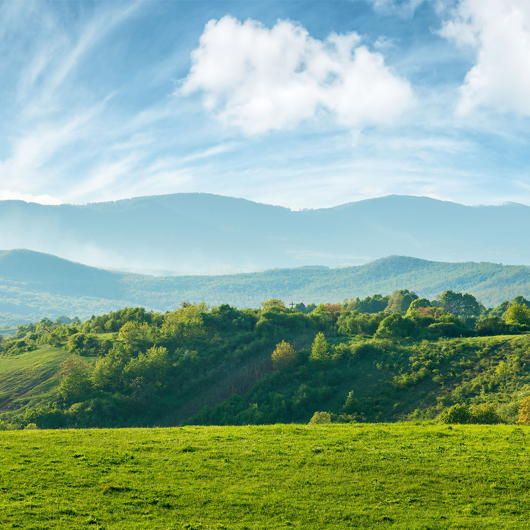 An image of beautiful blue sky, mountains and green grass