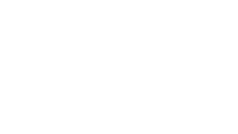 AMD RADEON Software