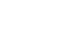 PCIe 5.0 图标