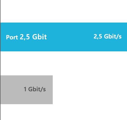 Port 2,5 Gbit