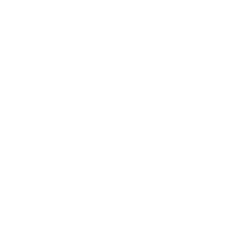 RAM DIMM 的 2D 黑白線框,上方為 8 個記憶體小晶片。
