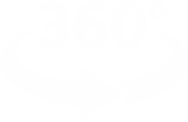 ALLY's 360-degree surround icon