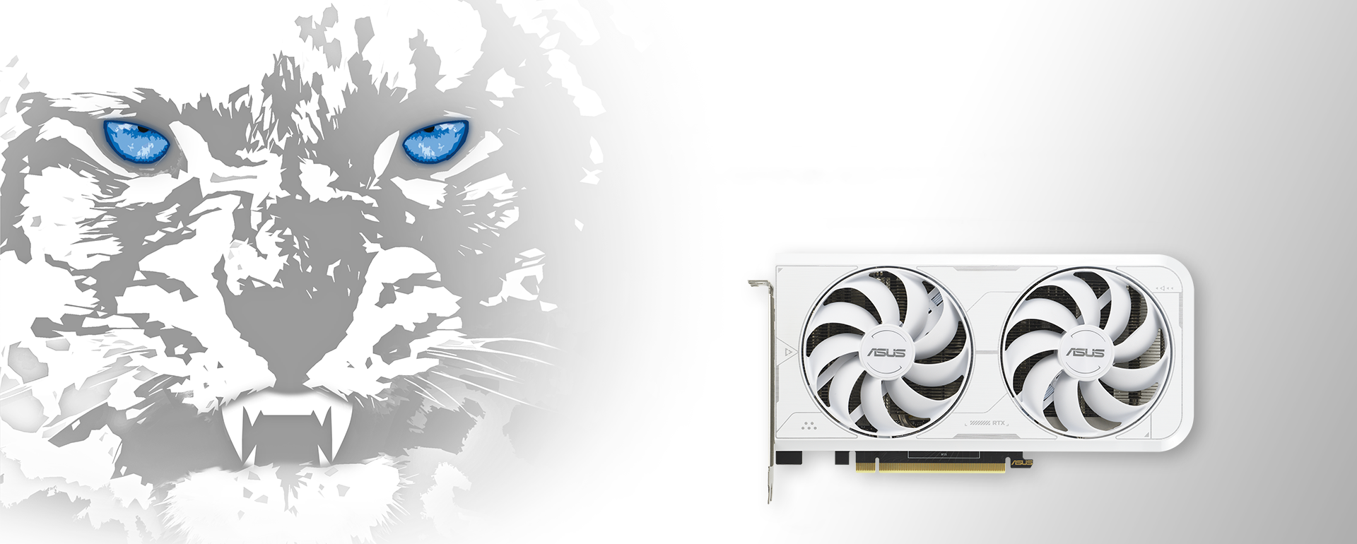 Schrägansicht der ASUS Dual GeForce RTX 3060 Ti White Edition Grafikkarte von vorne