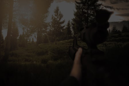 Скриншот з вимкненим режимом «FPS» технології GameVisual