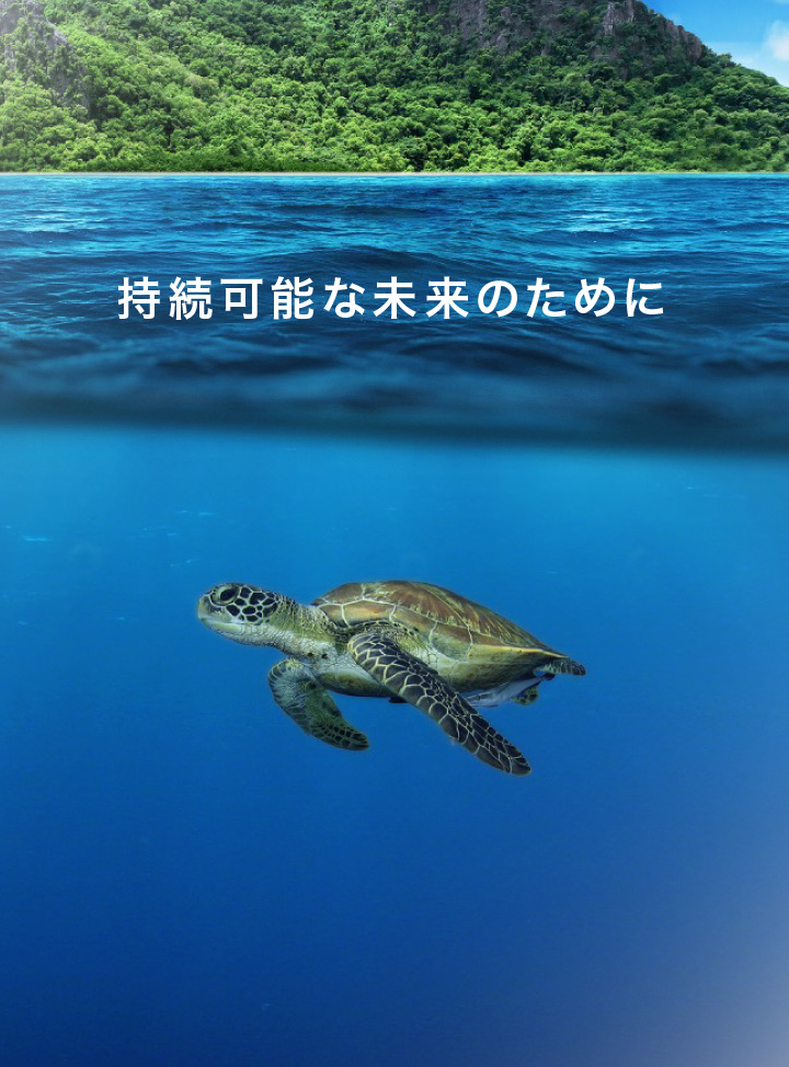 持続可能な未来のために
