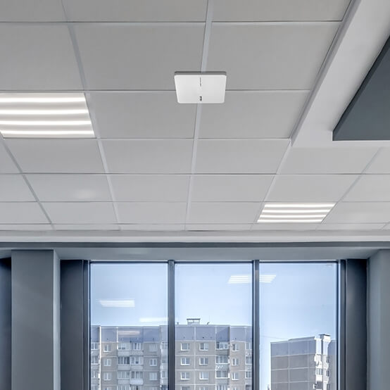 EBA63 is mounted on a T-bar on the ceiling of an office.