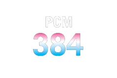 The icon show the monitor can support 32-bit 384 kHz quality PCM audio