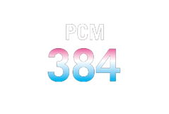 تظهر الأيقونة أن الشاشة يمكنها دعم صوت PCM بجودة 32 بت و384 كيلو هرتز