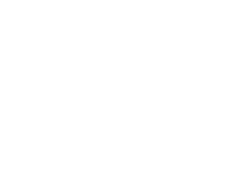 Fractal