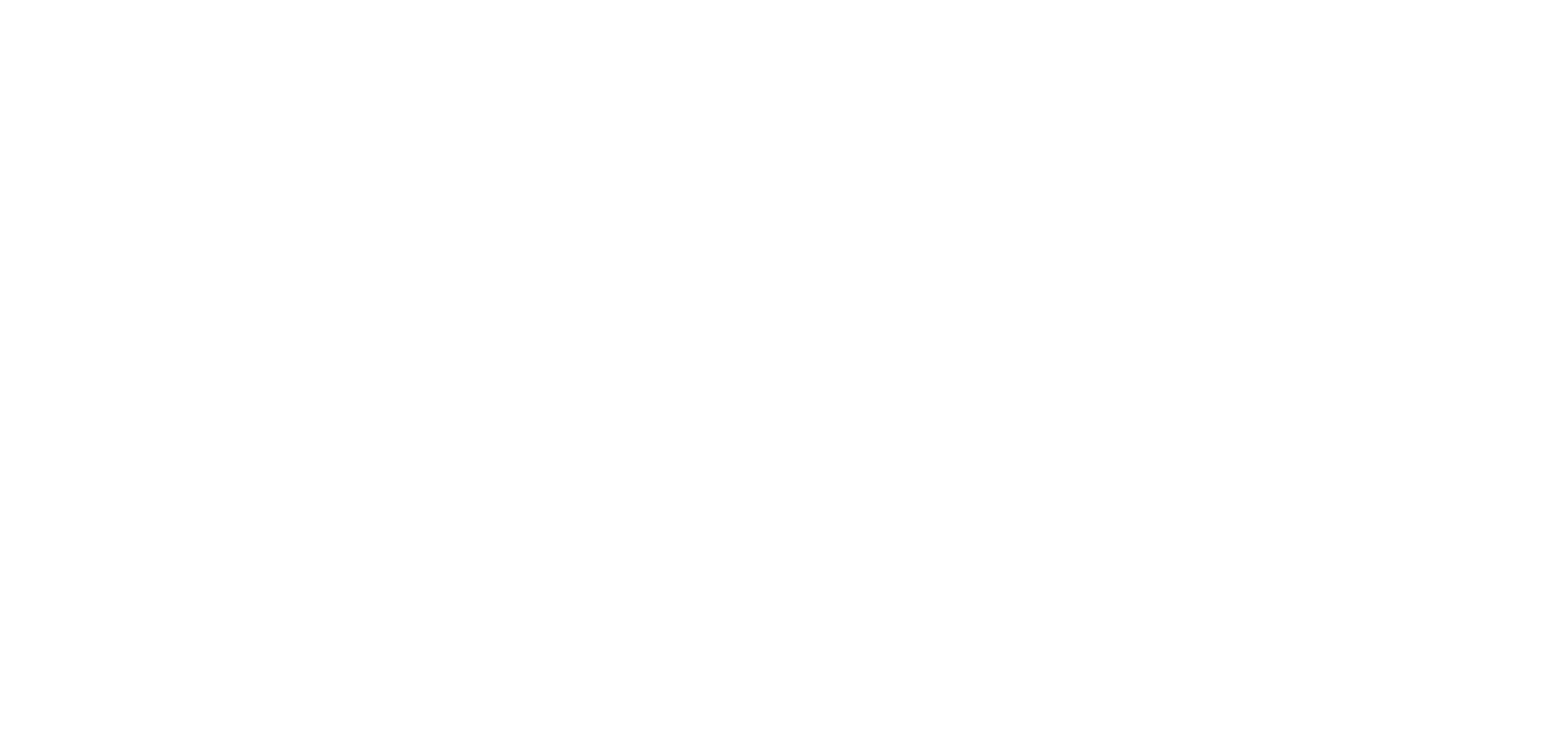 AMD Radeon RX 9070 XT logo.ゴ。