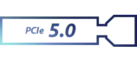 PCIe 5.0 Steckplatz Logo