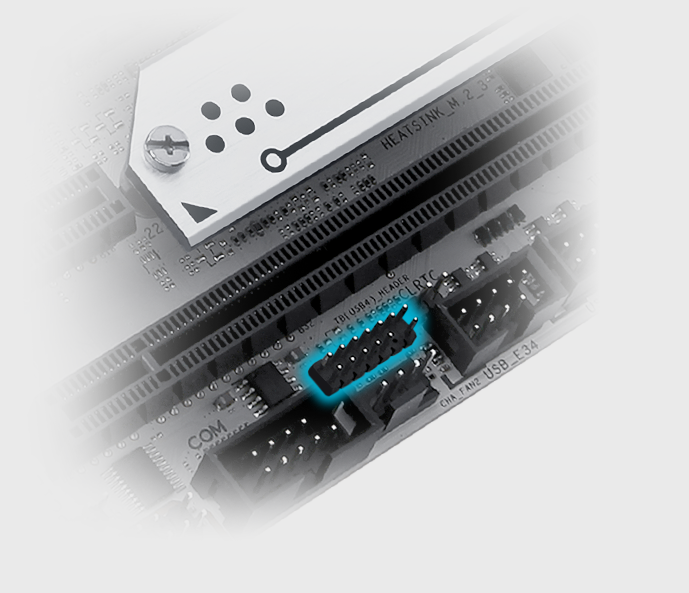 Features Thunderbolt™ USB4 header