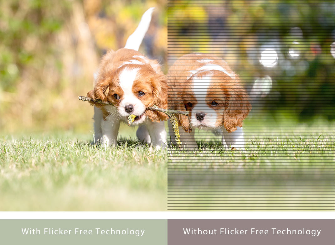 Imagem com tecnologia Flicker-Free/ Imagem sem tecnologia Flicker-Free