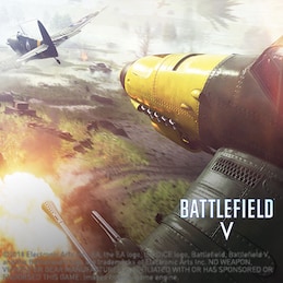 The image shows that the game picture of Battlefield V.