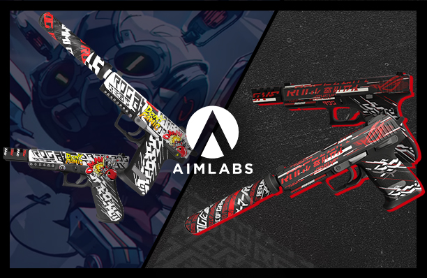  In-game gun skins for Aim labs