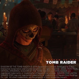 The image shows that the game picture of Shadow of the Tomb Raider.