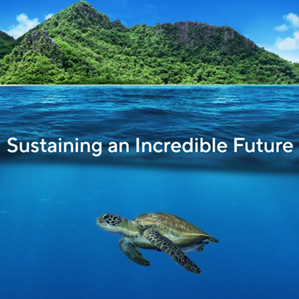 Черепаха в море и лесистые холма на заднем плане с надписью посередине - Sustaining an Incredible Future