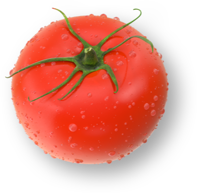 tomato