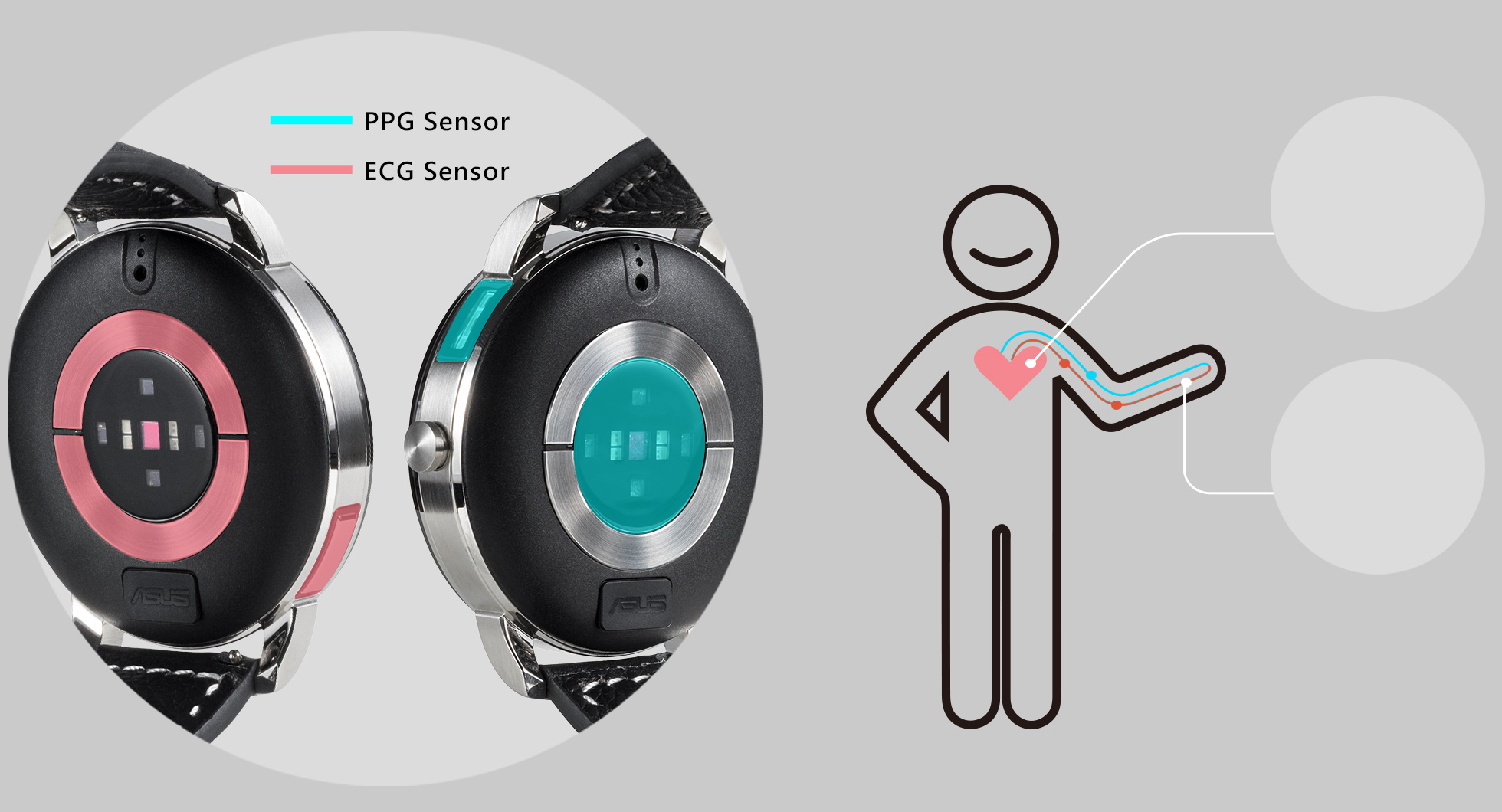 Asus discount health watch