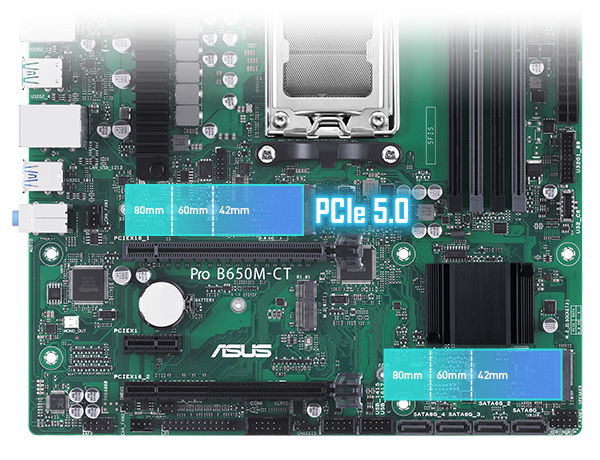 PCIe 5.0 M.2