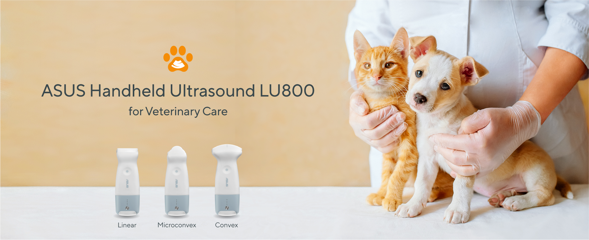 The veterinarian holds the kittens and puppies, caring for their health and recommending the use of ASUS Handheld Ultrasound LU800 for pet care.