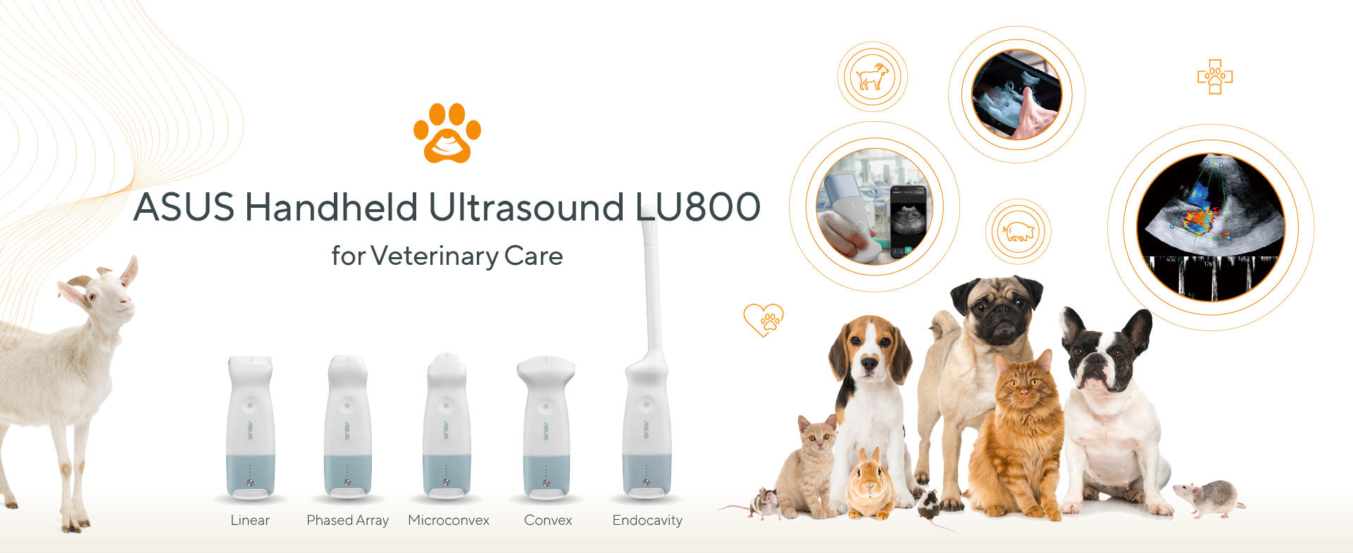 Pets, small animals, economic livestock, exotic pets, and various other animals can all benefit from its use, caring for their health and recommending the use of ASUS Handheld Ultrasound LU800 for livestocking care.