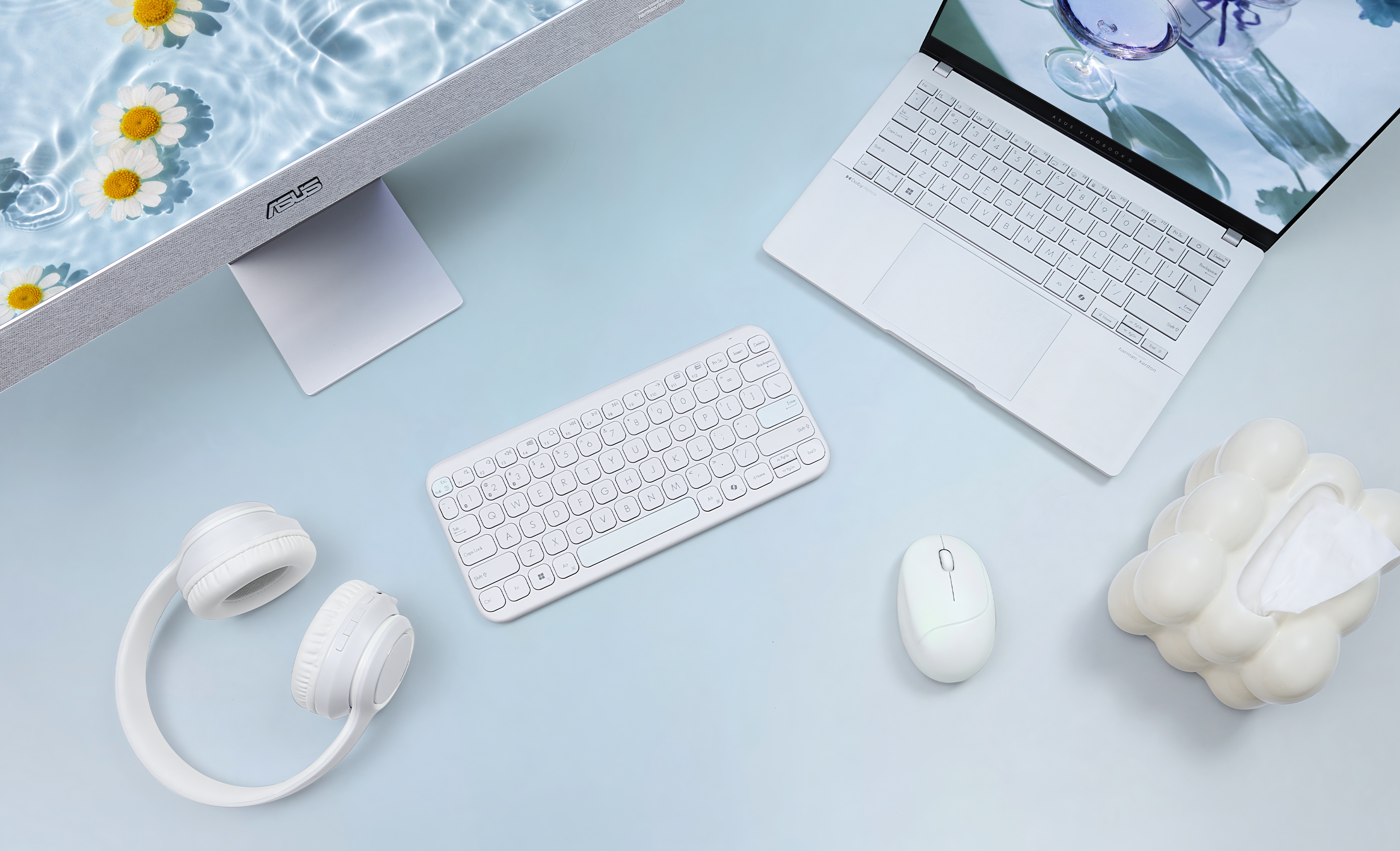 ASUS Marshmallow Keyboard (White color scheme) alongside including ASUS Vivobook 13 Slate OLED T3304, ASUS ProArt Display PA248CRV, ASUS Vivobook Go 15 OLED E1504F. The image also includes a lamp, two plants, and other decorations on the table, plus three hung paintings and a wall organizer.