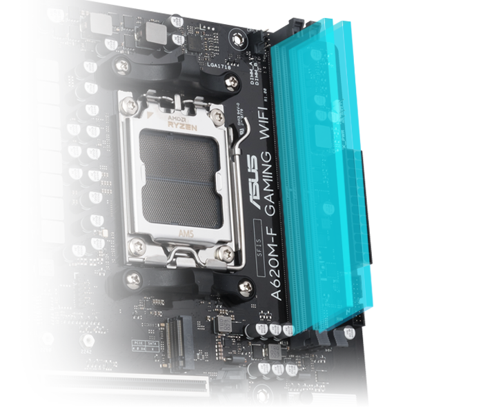 ASUS A620 series motherboar supports DDR5. 