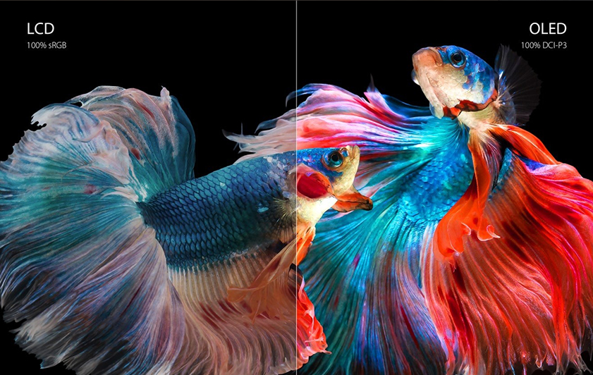 The photo displayed two betta fish with black background. It’s divided into two parts from the center to see the differences between the LCD screen on the left and OLED screen on the right. The colors look more vibrant and vivid on the OLED display compared to the gloomy colors on LCD screen.