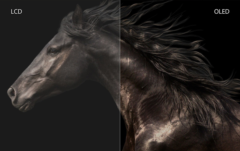 The side profile of a black horse is displayed. The image is divided into two parts from the center to tell the difference of black colors shown in the LCD screen on the left, compared to true black colors shown in the OLED screen on the right. The black color is clearer and more lively on the OLED display than to the gloomy colors on LCD screen.