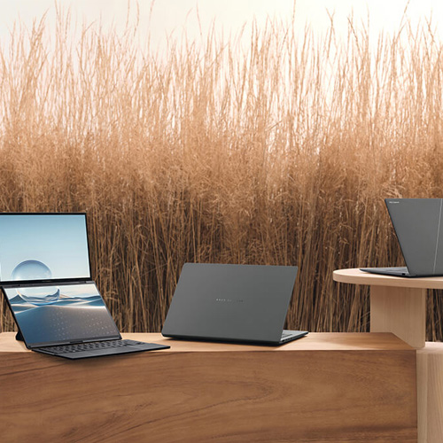 Uzun kuru otların önündeki ahşap stantlarda sergilenen üç ASUS Zenbook.