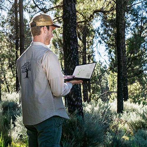 Мужчина стоит в лесу с ноутбуком в руках.