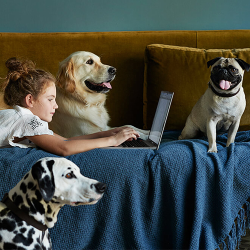 A young girl using a laptop on the sofa, surrounded by three dogs