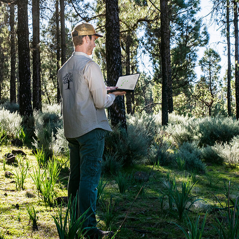 A man in the center of the image is holding a laptop and standing under a canopy of trees in a forest.