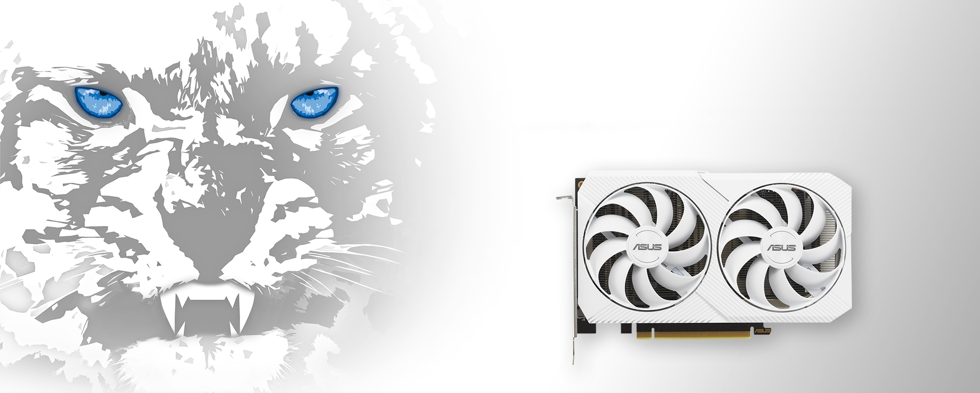 ASUS Dual GeForce RTX 3060 White OC Edition 8GB GDDR6 | Graphics 