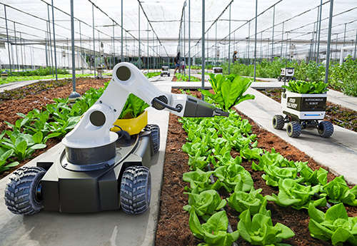 In the green house, a robot arm is planting vegetables
