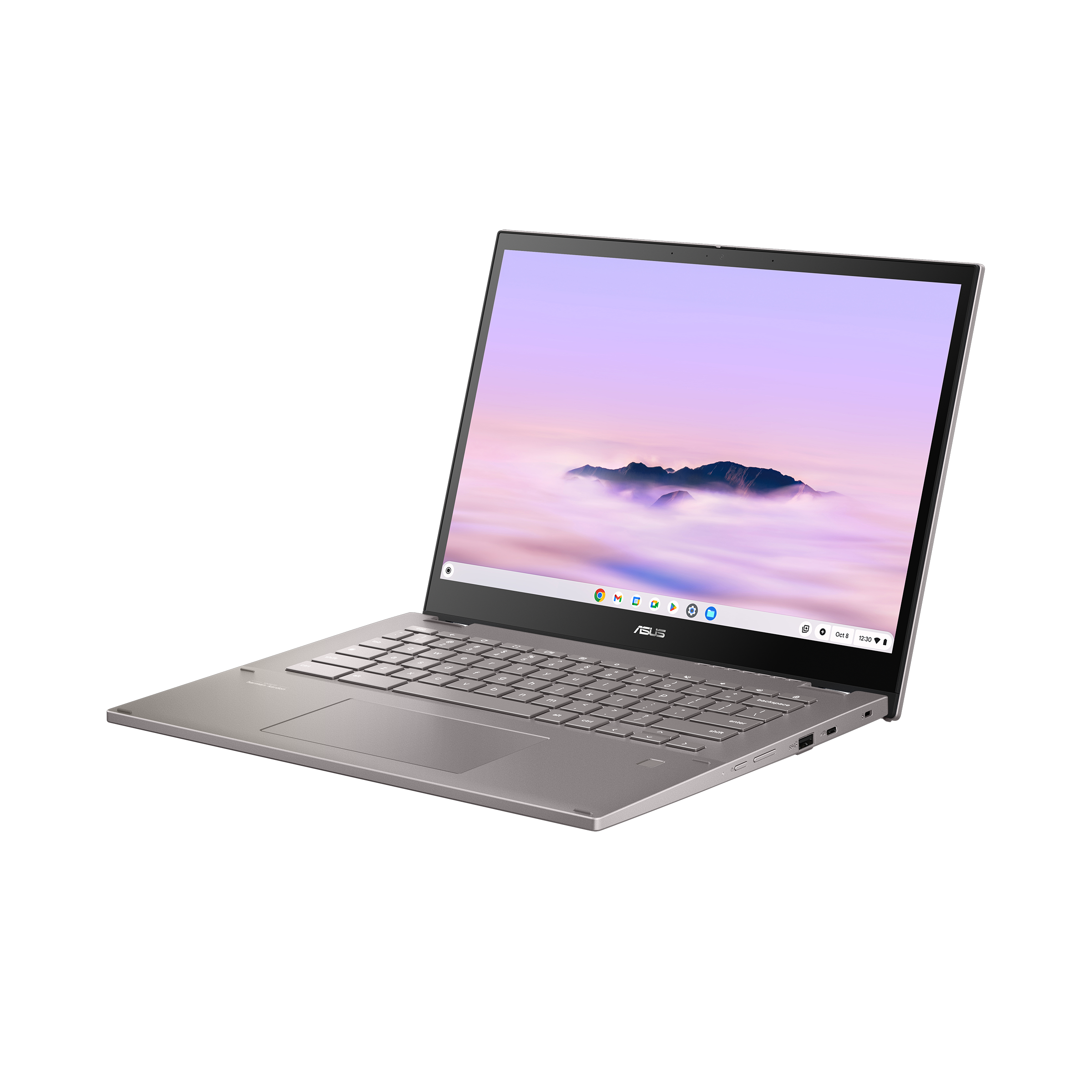 ASUS Chromebook Plus Enterprise CM34 Flip (CM3401)
