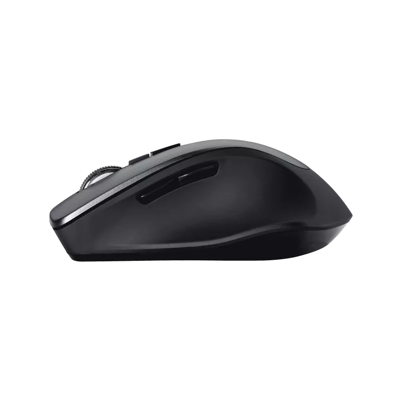 Wireless Mouse WT425