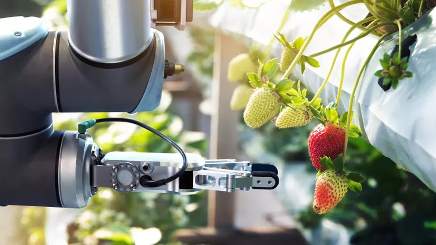 ASUS IoT Boosts Smart Agriculture with AMR